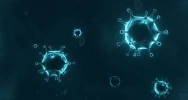 ВО ЗЕМЈА ОД РЕГИОНОТ: Tретина од тестираните се позитивни на коронавирусот