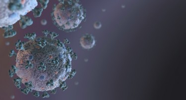 СОСТОЈБА ВО СВЕТОТ: Скоро седум милиони заразени со коронавирус