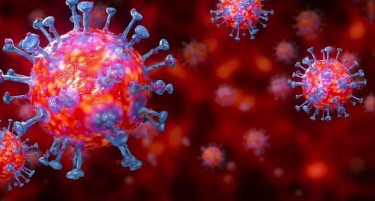 ЦРН БИЛАНС: Досега 700 граѓани починаа од коронавирусот