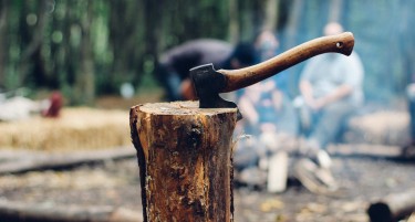 За дрвокрадците 230 милиони денари казна што нема „никогаш“ да ја платат