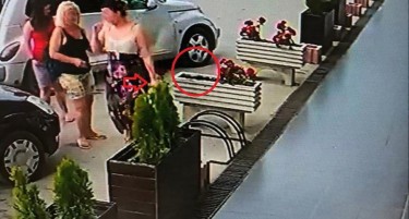 (ВИДЕО) ГИ „УЛОВИЈА“ БЕЗБЕДНОСНИТЕ КАМЕРИ: Tри жени крадат цвеќе од фирма во Кичево