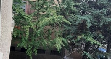 ПОГОДЕНА ПРОГНОЗА - силен дожд во Скопје