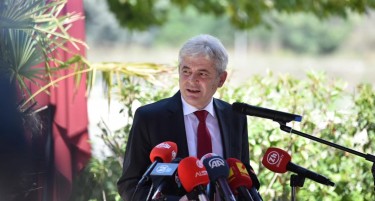 ДУИ: Албанските партии ни ги уништија преговарачките позиции со Заев