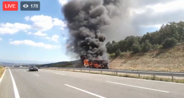 Нема повредени, возачот бил сам: Изгорениот автобус е на „Кит го“