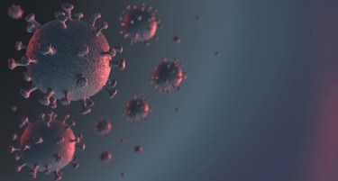 Во светот скоро 28 милиони се заразени со коронавирусот, но има и земји без ниту еден починат