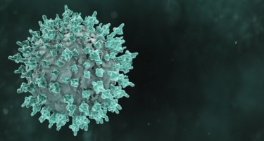Руските научници имаат ново откритие за коронавирусот