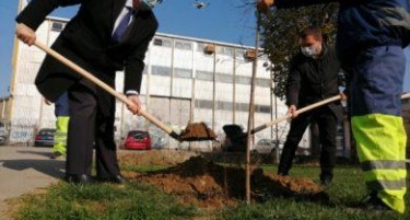 Рускиот амбасадор и градоначалникот на Центар заедно засадија дрва во Паркот на сеќавањата за жртвите на фашизмот