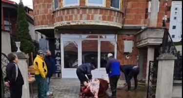 (ВИДЕО) Се колеше бик пред градоначалникот Курто Дудуш во Шуто Оризари