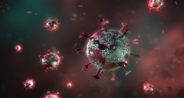 Уште еден сој на коронавирусот е откриен во Африка