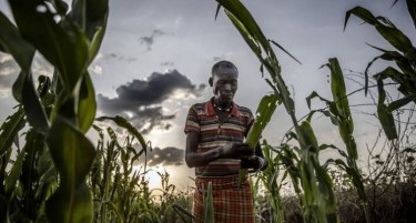 ЛУЃЕТО ЈАДАТ СКАКУЛЦИ, КАКТУСИ: Гладот зема замав во Мадагаскар