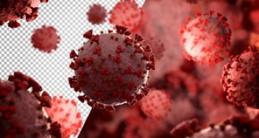 Шест градови се без заболени од коронавирусот