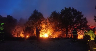 Ангелов: По неколку дневна борба со огнената стихија над Будинарци, големиот пожар е совладан