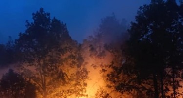 ПСИХОЛОГ ОД БЕРОВО: Стресот од пожарите остави длабока трага која може да оживее во иднина