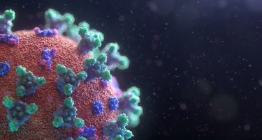 Во Јужна Африка е детектиран нов сој на коронавирусот