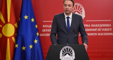 Милевски ја соопшти официјалната одлука на ЛДП: Ако се прифати францускиот предлог, излегуваме од Влада