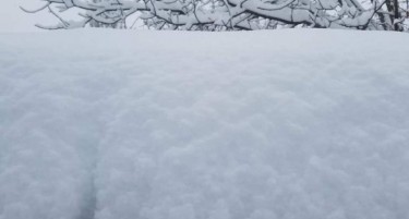 Поради снежните наноси Македонците во Голо Брдо веќе трет ден се отсечени