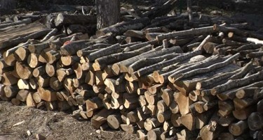 ДИРЕКТОР НА КИЧЕВСКО ШУМСКО СТОПАНСТВО ЗАРАБОТИ КРИВИЧНА ПРИЈАВА - штета со буково дрво од 40 илјади евра