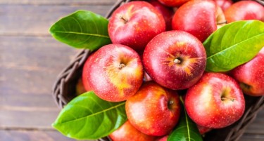 Војната во Украина го затвори пазарот за македонското јаболко – каде е излезот?