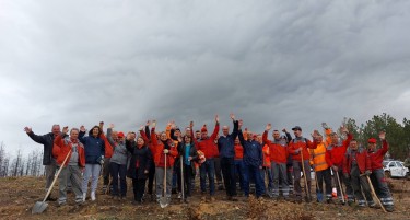 Волонтерите на ЕВН со голема акција за пошумување на делчевскиот Браниград