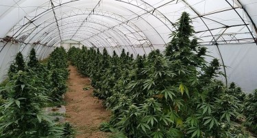 ОД „5 ЛЕТЕРС“ СЕ УКРАДЕНИ 108 ШИШИЊА МАСЛО ОД КАНАБИС: Втора кражба во фабриката