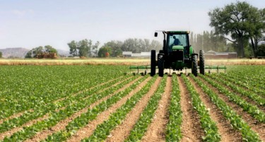 ФАО ПРЕДУПРЕДУВА - УВОЗОТ НА ХРАНА ДОСТИГНУВА РЕКОРДНИ ВРЕДНОСТИ - земјоделците не ги надоместуваат трошоци