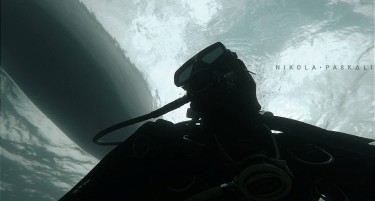 Паскали: Ајкулите најчесто напаѓаат сурфери затоа што мислат дека се фоки