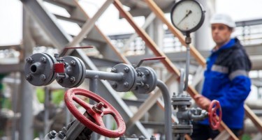 НАМАЛЕНАТА ИСПОРАКА НА ГАС НЕМА ДА ЈА УБИЕ ГЕРМАНСКАТА ЕКОНОМИЈА - експертите велат дека претпоставката за зависноста од Русија е погрешна