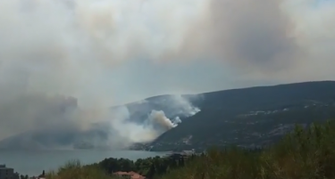 Тинејџер подметнал дури десет пожари на територијата на Херцег Нови: со денови палел вегетација покрај патот, сега е фатен