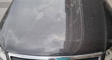 Нови шест македонски возила оштетени во Грција