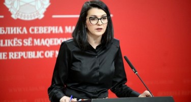 За Костадиновска Стојчевска провокација е и бугарското знаме на споменикот на Делчев и свиркањето на прославата на Рамковниот