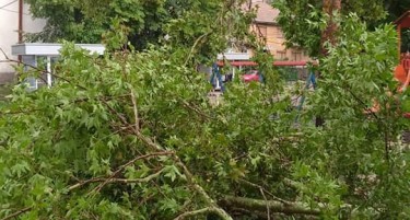 (ФОТО) Невреме направи хаос во Неготино  - поплавени улици, скршени дрвја и оштетени автомобили