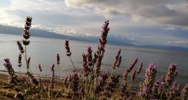 СОНЦЕ, ДОЖД, ГРМОТЕВИЦИ И СИЛЕН ВЕТЕР, променливото време ќе се задржи до средината на следната недела