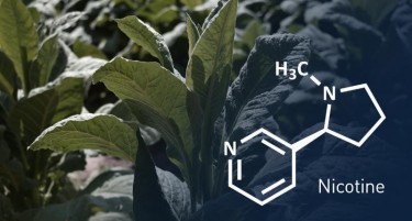 Производите кои содржат никотин се ефикасни во борбата против пушењето