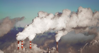 СРБИЈА ПРВА ВО СВЕТОТ ПО СМРТНОСТ, А КАДЕ Е МАКЕДОНИЈА НА ЛИСТАТА НА ЦИА: Еколозите привлекоа внимание со ова!