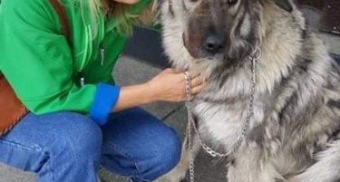 АНИМА МУНДИ СЕ ПОФАЛИ ДЕКА НИВНАТА ОСНОВАЧКА, ВЕГАНКАТА ПЕШЕВСКА СТАНАЛА ДИРЕКТОРКА - ова е прв пат да се назначи активист за директор на јавно претпријатие