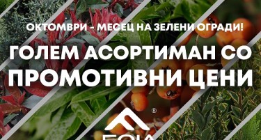 Зелена, жива ограда - Мала инвестиција со големи придобивки!