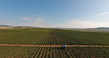 „Тиквеш“ и лозарите ја развиваат партнерската соработка со цел подобрување на продуктивноста во секторот