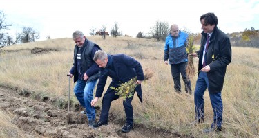 Британската амбасада во Скопје заедно со ЈП Национални шуми, Алкалоид и бизнис заедницата ќе помогнат во засадувањето на 13.000 садници