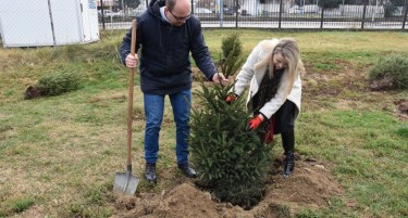 Халкбанк обезбеди 120 садници за зазеленување на повеќе локации во Кочани