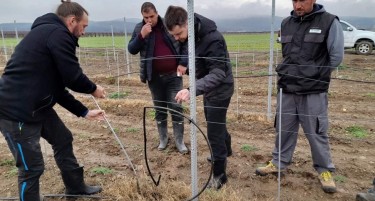 Дигитализацијата е неопходен чекор за одржлив развој - „Тиквеш“ во соработка со водечки светски експерти отвора ново поглавје во лозарството