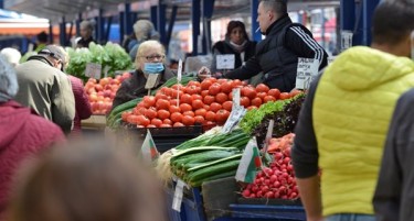 Ќе нема турски домати во Македонија, се очекува поскапување