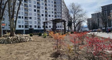 Credissimo засади цвеќиња во новиот парк во скопската населба Мичурин