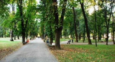 Украден е дел од споменикот на Орце Николов во Градскиот парк