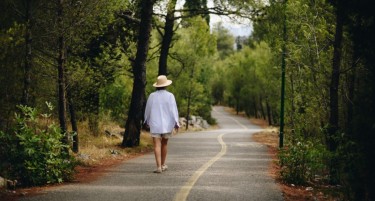 Здрави шуми за здрави луѓе: Акција на локалните заедници во регионот