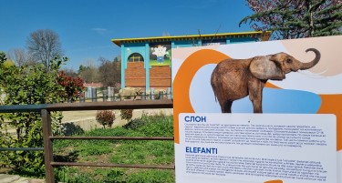 Credissimo со донација за ЗОО Скопје - Обновени информативните таблички за животните