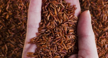 Регулација на холестерол триглицериди со природни лекарства – црвен ориз и артичока