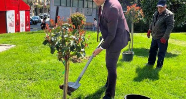 Вработените во Халкбанк го одбележаа Денот на планетата земја со зазеленување на просторот околу повеќе филијали на Банката