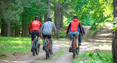ОД ШАМПИОНИ ЗА ШАМПИОНИ: Освојте ја Мусица по патеки направени од светски имиња во планинскиот велосипедизам!