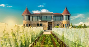 Винарија Камник со највисок просечен рејтинг на апликацијата Вивино за регионот на Југоисточна Европа