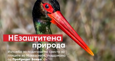 „НEзаштитена пpирода“ - Изложба на фотографии на Велиан Јагев за подигнување на свесноста за животната средина, поддржана oд ПроКредит Банка
